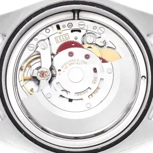 mechanism of the watch