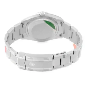 stainless steel case of the watch