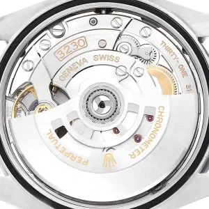 mechanism of the watch
